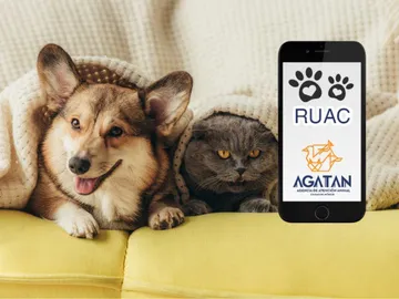 CURP para mascotas: ¿cómo tramitar el RUAC?