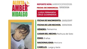 Ficha de búsqueda de Luisa Fernanda Cruz Guarneros, niña de 9 años reportada como desaparecida en Pachuca de Soto.