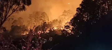 Incendio forestal en Zimapán Hidalgo consume más de 120 hectáreas de bosque con brigadistas intentando sofocar el fuego