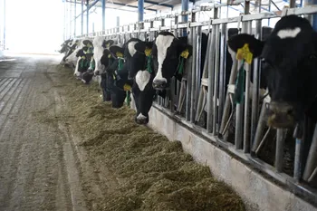 Productores deben revisar ganado y reportar cualquier sospecha para evitar infestaciones