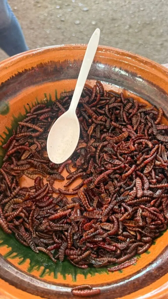 Doña Tere: una historia a fuego lento