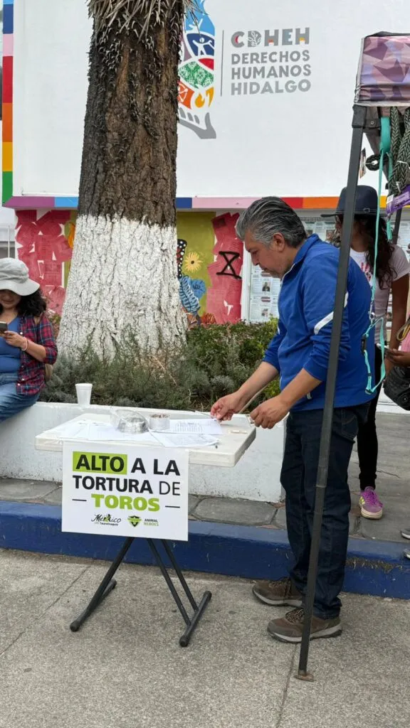 Buscan prohibir tauromaquia en Hidalgo con firmas ciudadanas
