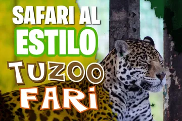 Disfruta del safari en Tuzoofari, Pachuca