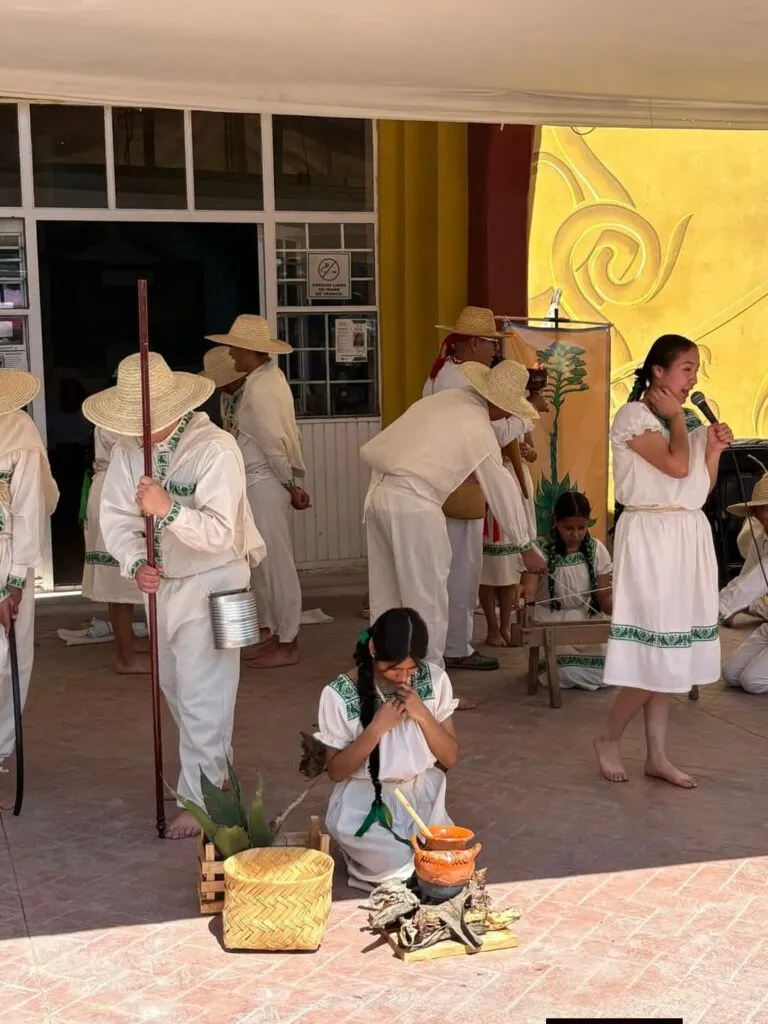 Impulsan conservación del maguey pulquero en Atotonilco