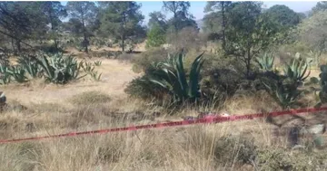 Localizan sin vida a hombre de 23 años de edad en Singuilucan