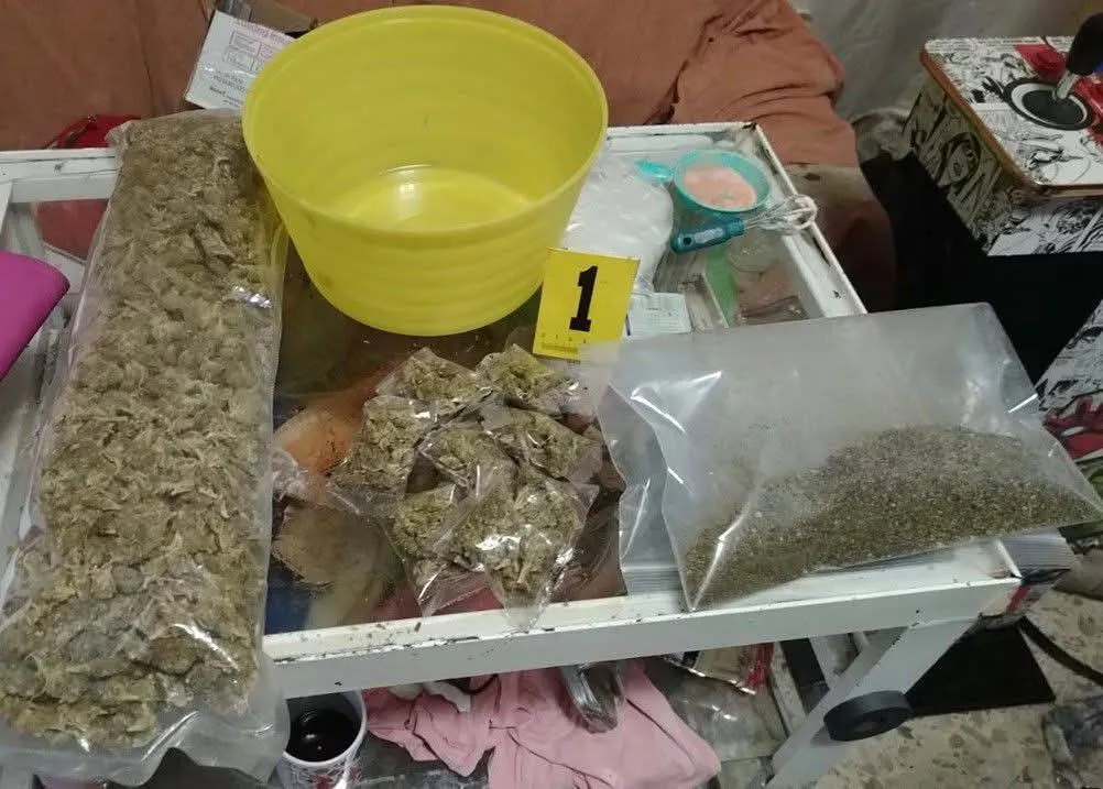 Tizayuca: decomisan miles de dosis de droga en operativos