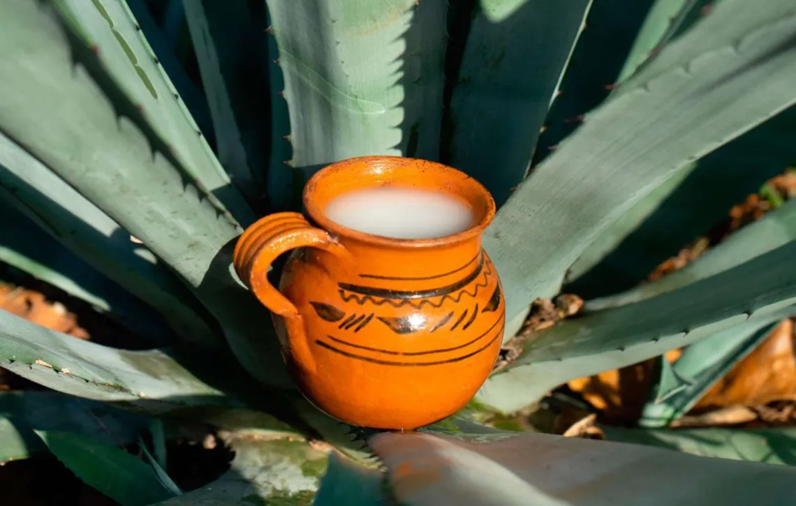 Este Pueblo Mágico de Hidalgo atrae visitantes por una bebida ancestral y un sabor difícil de encontrar