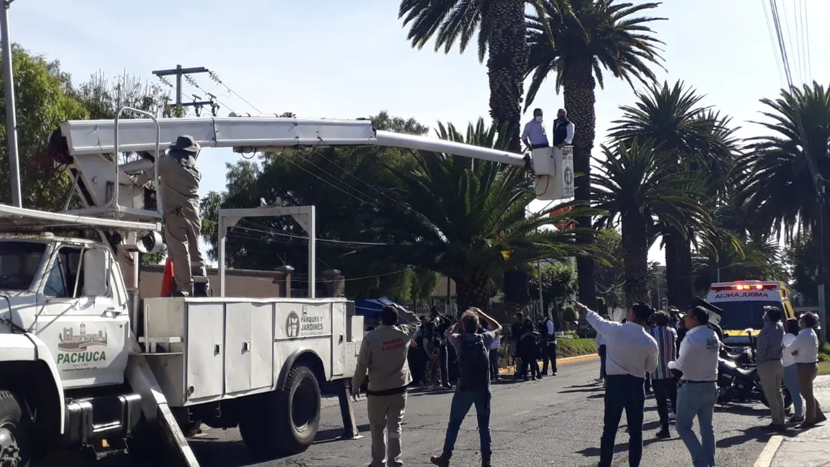 Habrá desvió de tráfico por retiro de palmera en avenida Revolución en Pachuca