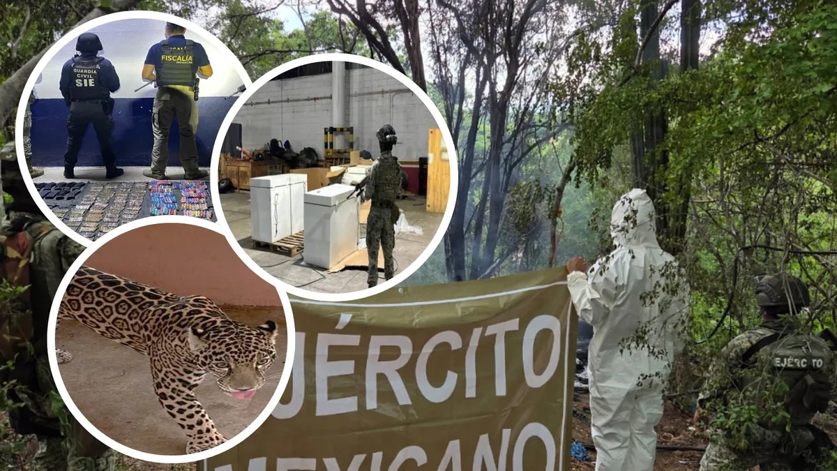 Operativo de seguridad con decomisos millonarios en México