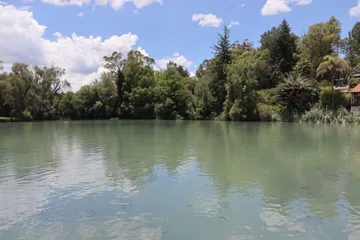 Así retirarán el lirio acuático de las presas de Hidalgo
