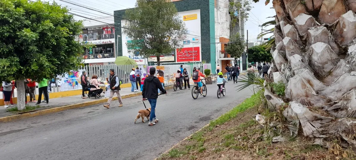 Seguirá adelante conversión peatonal de Avenida Revolución: Sergio Baños