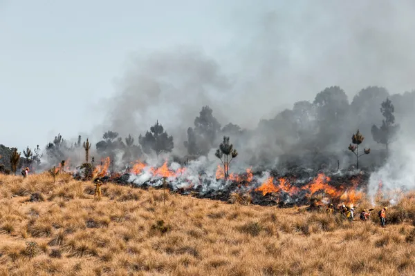 Incendio en Huichapan