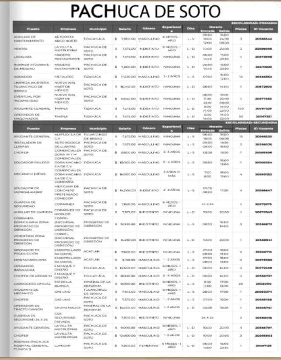 Empleo en Hidalgo: descubre las 1250 vacantes disponibles