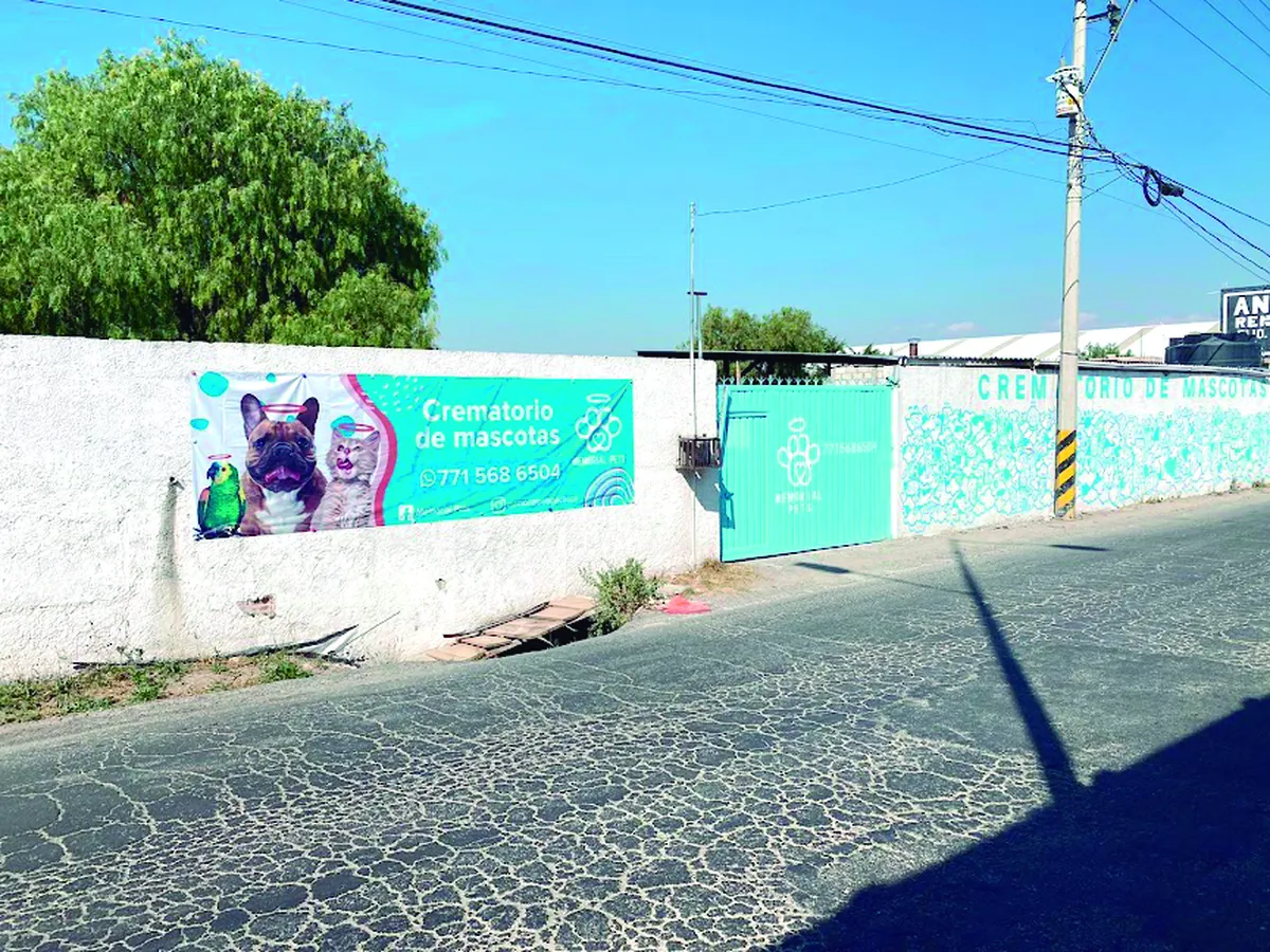 Una despedida digna a los compañeros de vida