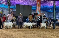 Entre ganado, música y gastronomía, así se vivió el último día de una feria que logró convocatoria y saldo blanco en Hidalgo