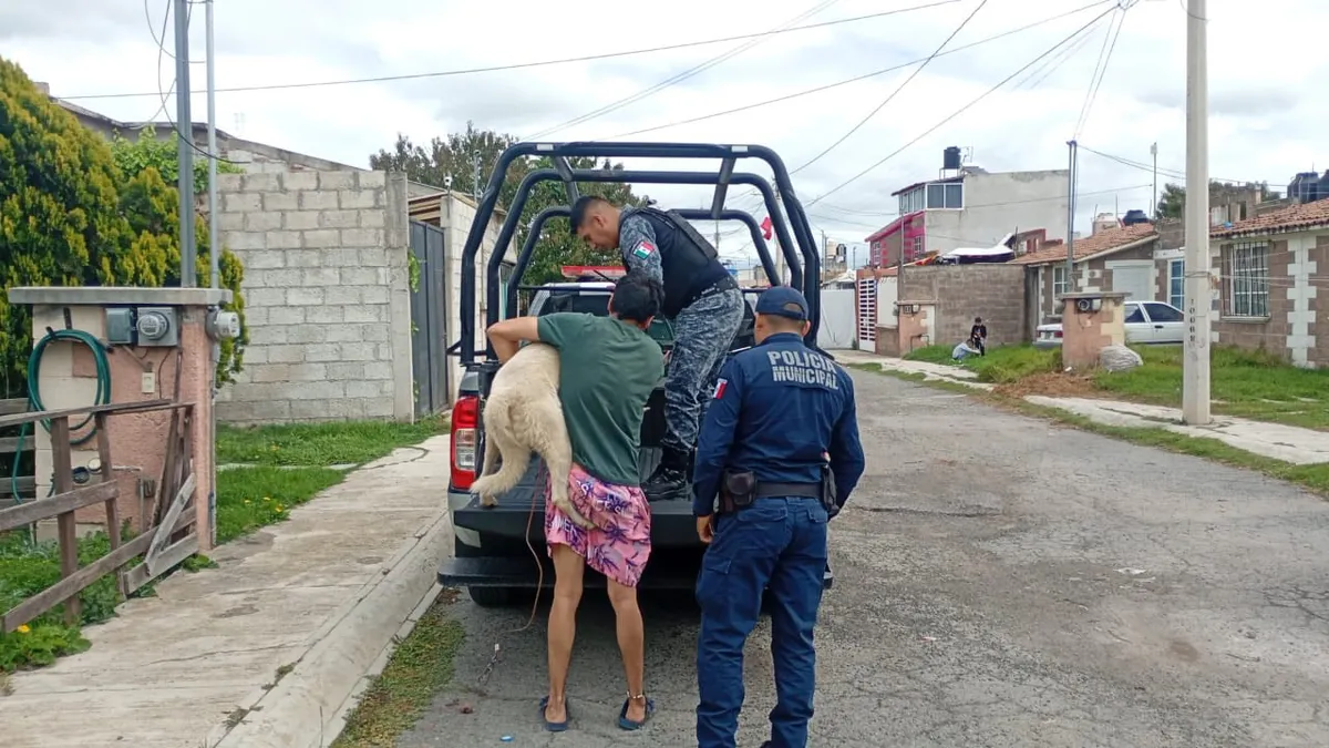 Seguridad Pública de Tulancngo rescata a perro maltratado en Tulancingo