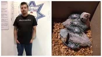 Detienen a sujeto por vender aves protegidas: las ofrecía en plena calle en Mineral de la Reforma