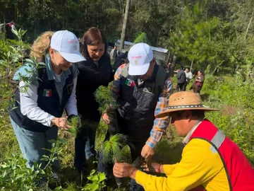 Hidalgo va por 2.6 millones de árboles en jornada de reforestación