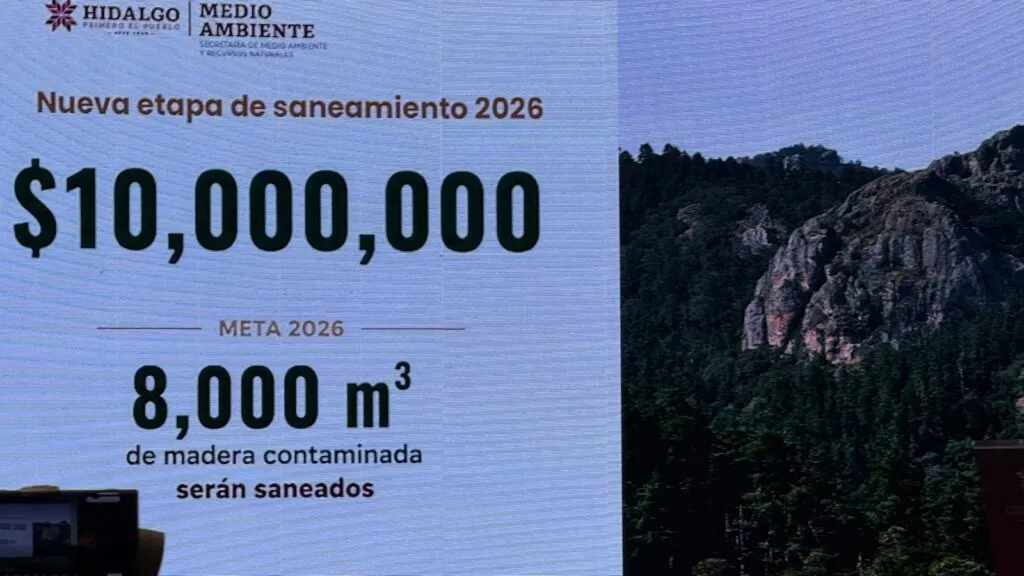 ¡Van por El Chico! Hidalgo invertirá otros 10 millones para salvar su bosque más emblemático