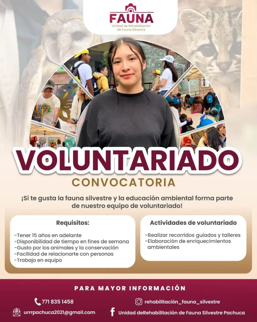 ¡Únete al voluntariado de la Unidad de Rehabilitación de Fauna Silvestre Pachuca!