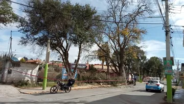 Derribo de árboles en Tulancingo que causó inconformidad será revisado con la Conagua