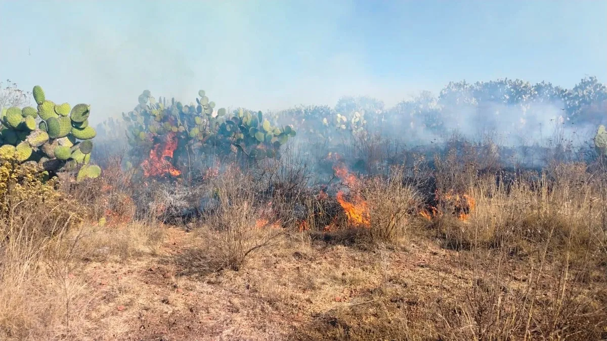 Hidalgo registra 29 incendios forestales en 2026; llaman a denunciar quemas ilegales ante la FGR