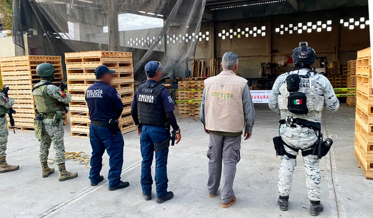 Operativo ambiental en Hidalgo deja clausuras y maquinaria asegurada en centros forestales de Tula de Allende.