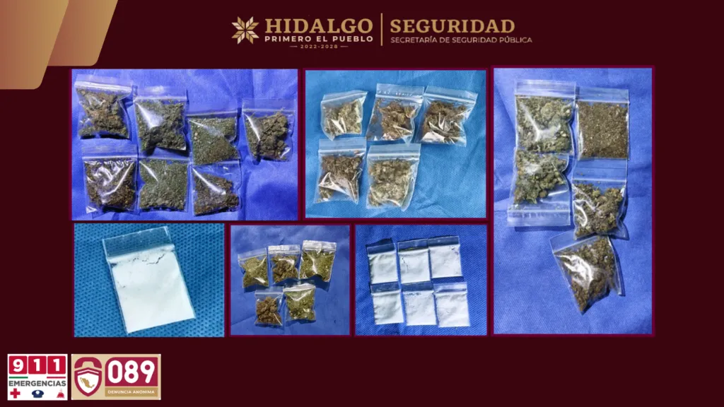 ¡Un botín vehicular! Aseguran predio con vehículos robados, autopartes y droga en Tulancingo