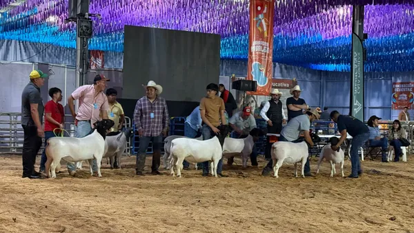 Entre ganado, música y gastronomía, así se vivió el último día de una feria que logró convocatoria y saldo blanco en Hidalgo