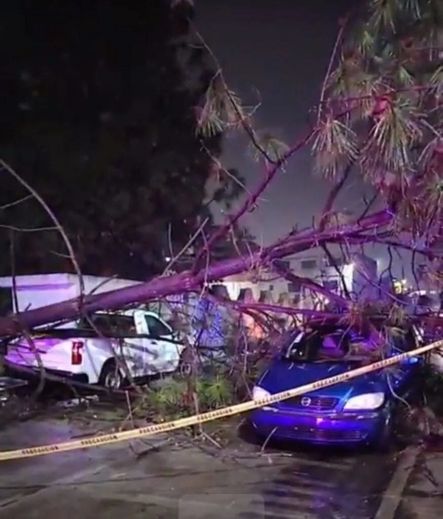 Árbol cae en el ISSSTE, derrumba barda y daña dos vehículos en Tulancingo