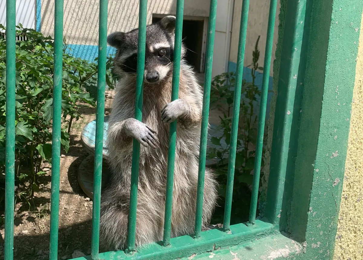 Preparan reapertura de Bioparque Tekuayan en Tizayuca