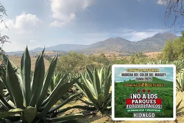 marcha contra parques fotovoltaicos en la cdmx