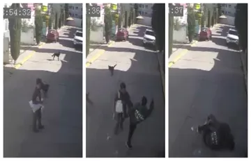 Sujeto irrumpe en privada de Pachuca y noquea a menor de edad con autismo tras altercado por mascotas