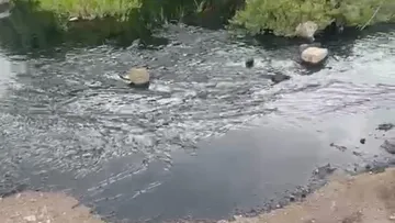 Operativo por toma clandestina de combustible en Mineral de la Reforma.