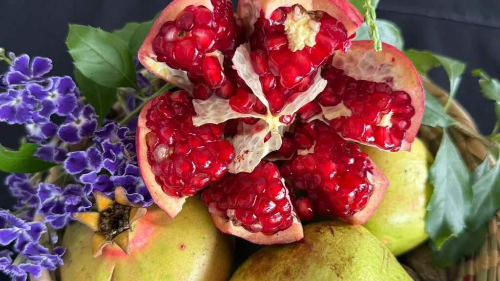 ¡Imperdible! Llega el Festival de la Nuez y la Granada 2025 en Tasquillo