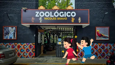 Tres monos araña se integran al Zoológico Nicolás Bravo de Tulancingo para fortalecer la conservación animal.