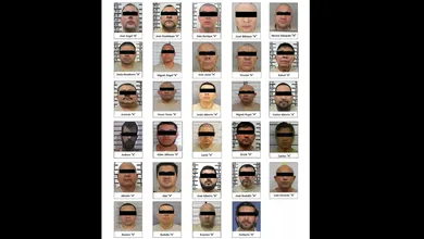 Ellos son los 29 integrantes de la delincuencia organizada que fueron extraditados a EU.