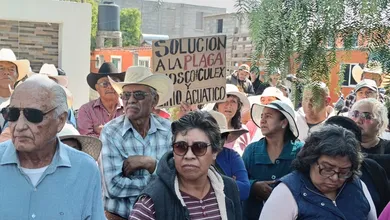 El lirio acuático y el mosco culex tienen al límite a pobladores de la Endhó; ahora exigen maquinaria urgente a Semarnat