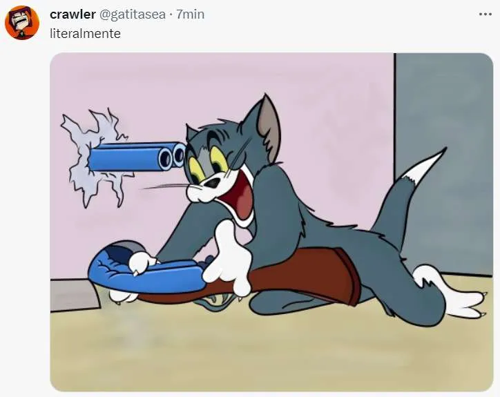 María Teresa Paulín: su irónico tuit que genera polémica en redes