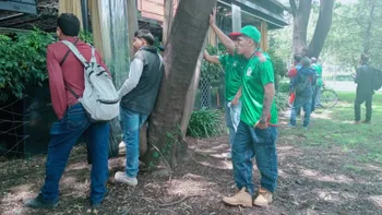 Aficionados observan el partido de México