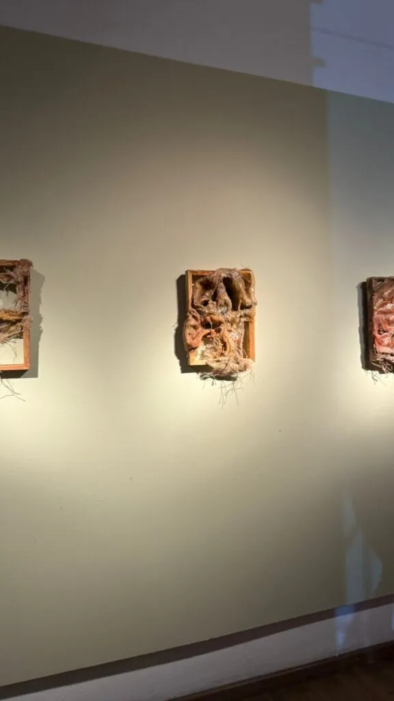 “Heridas”: la exposición que convierte la cicatriz en identidad