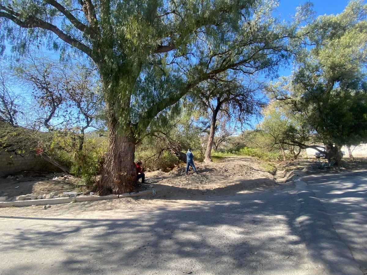 Denuncian ecocidio en comunidad de Tula