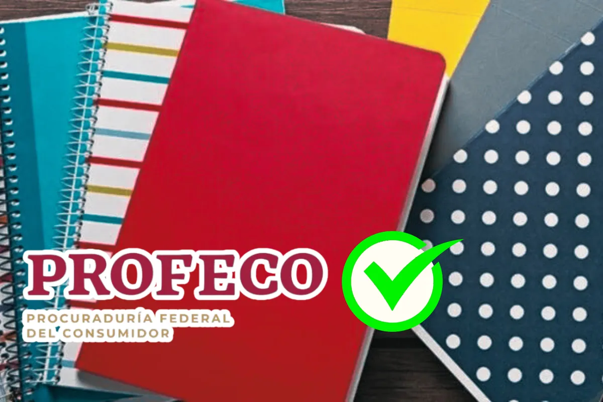 Estos son los cuadernos recomendados por Profeco para el regreso a clases en Hidalgo
