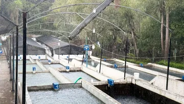 pesca deportiva