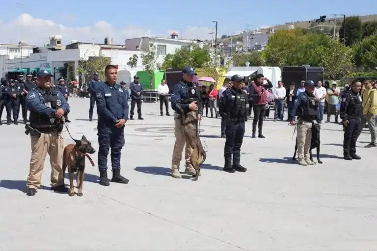 Unidad Canina K9 de Mineral de la Reforma se consolida como referente en seguridad y búsqueda en Hidalgo