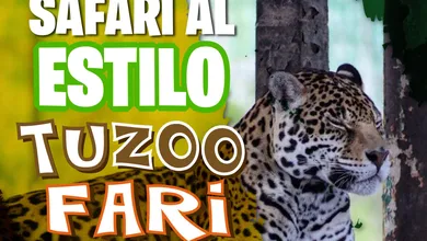 Disfruta del safari en Tuzoofari, Pachuca