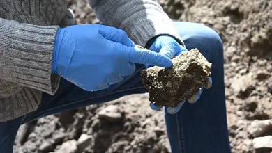 Citnova Tenango daños