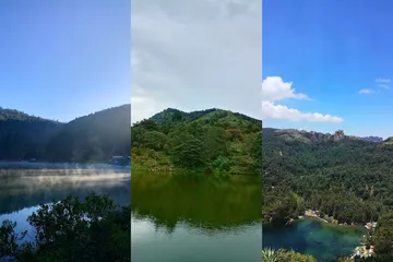 Vacaciones en Hidalgo: tres bosques que debes conocer