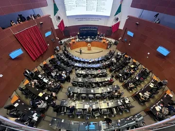 Senado y Cámara de Diputados condenan intervención militar de EU en Venezuela