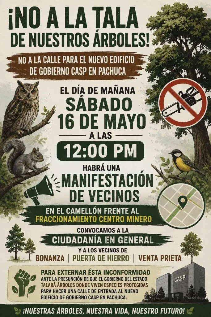 Pachuca: desmiente Semarnath tala masiva de árboles; ciudadanos convocan a manifestación